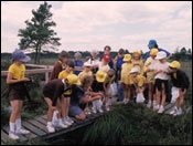 Voluntary warden shows brownie pack raft spider cocoon, Thursley NNR, Surrey. Peter Wakely/English Nature