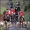 Fox hunt